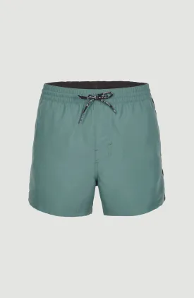 Coast 14'' Swim Shorts | North Atlantic