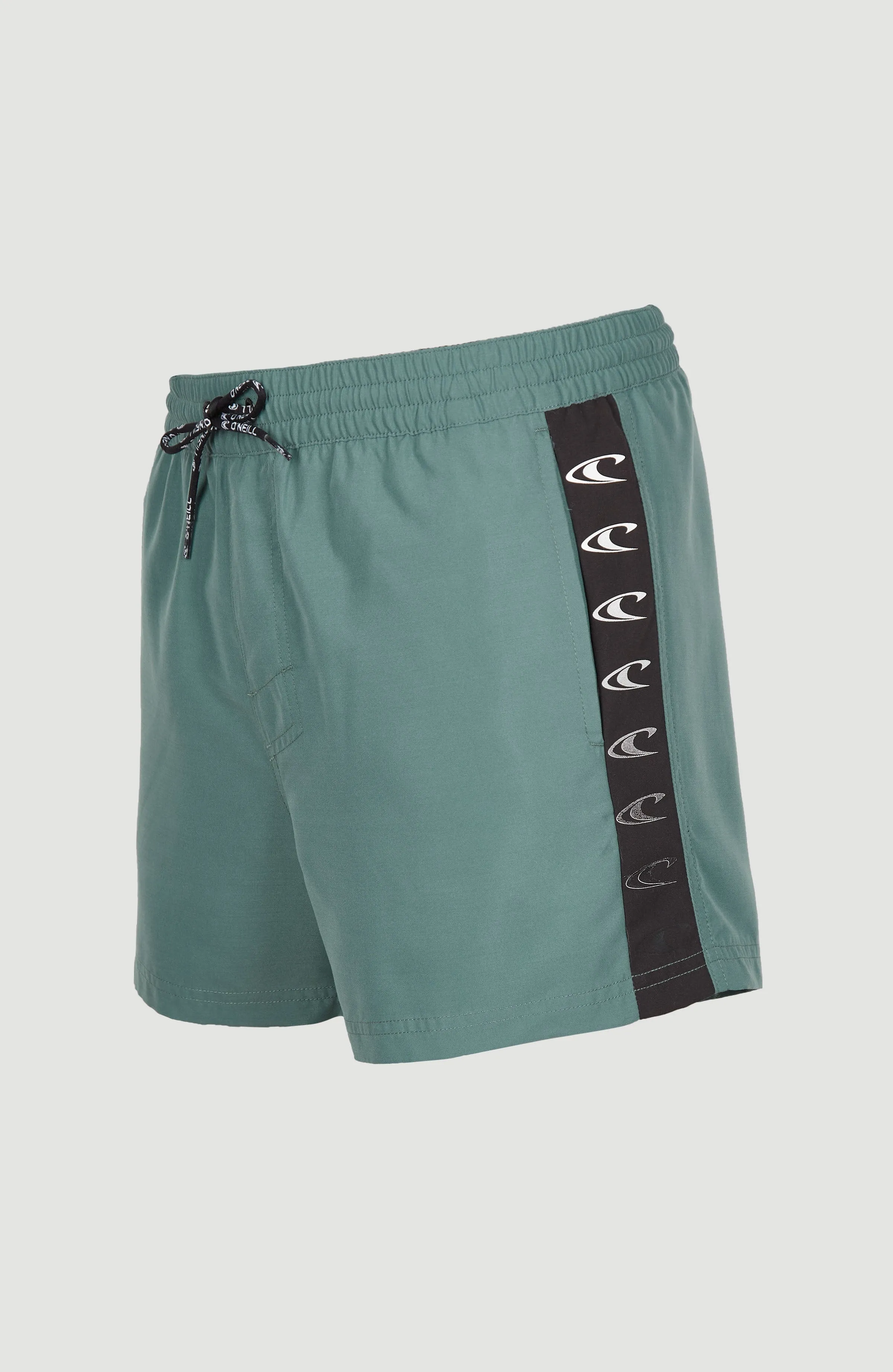 Coast 14'' Swim Shorts | North Atlantic