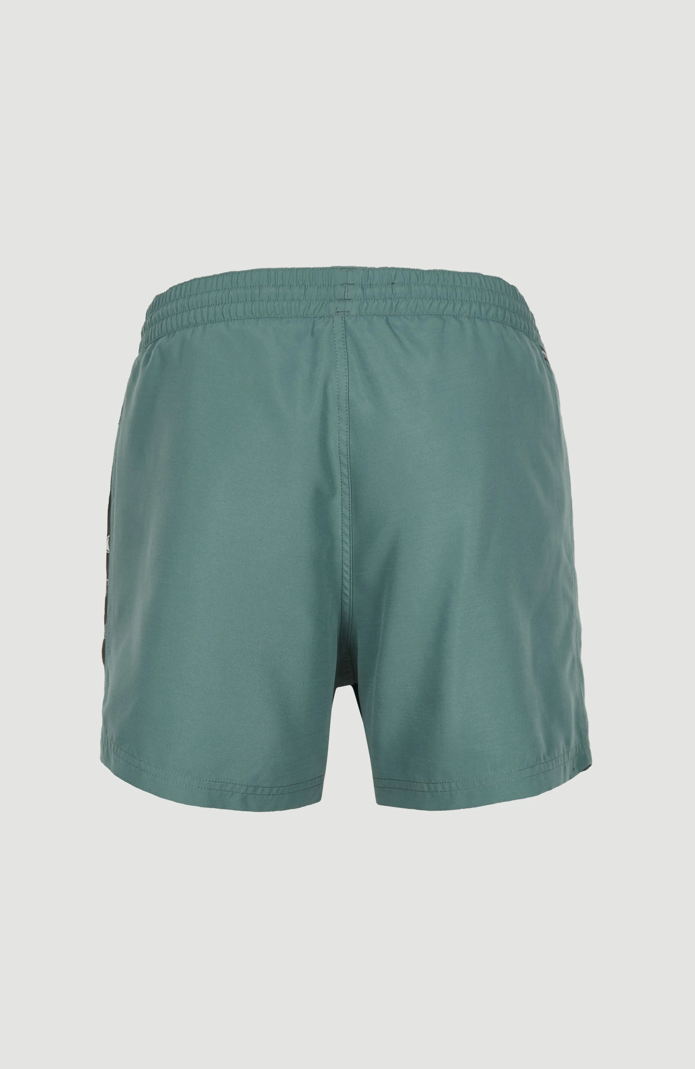 Coast 14'' Swim Shorts | North Atlantic